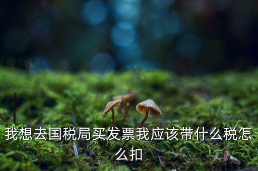 去國稅局扣稅需帶什么，我想去國稅局買發(fā)票我應(yīng)該帶什么稅怎么扣