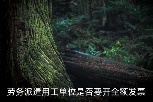 勞務(wù)派遣開什么票，勞務(wù)派遣小時(shí)工發(fā)票怎么開