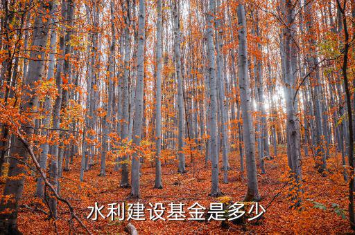 水利建設(shè)基金什么行業(yè)，水利工程這個專業(yè)畢業(yè)就業(yè)是什么行業(yè)的工作詳細工作類別