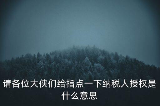 納稅人獲得感是什么意思，請(qǐng)各位大俠們給指點(diǎn)一下納稅人授權(quán)是什么意思