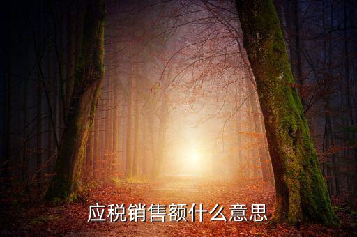 稅務(wù)銷售額是什么意思，年應(yīng)稅銷售額是什么意思