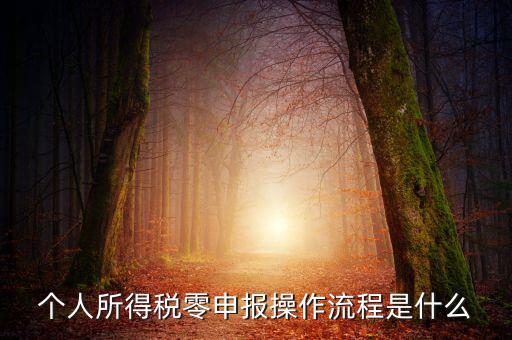 扣繳稅款登記主要流程是什么，納稅流程是怎樣的