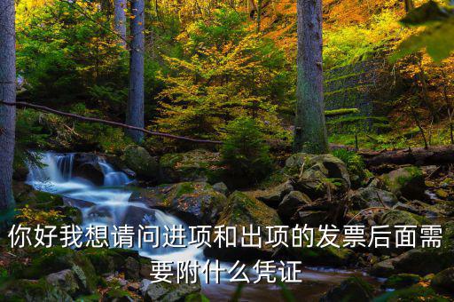 你好我想請問進項和出項的發(fā)票后面需要附什么憑證