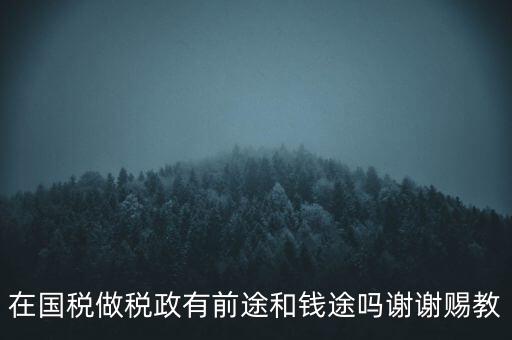 稅政處管什么，稅務局里的稅政科和征管科都有哪些功能