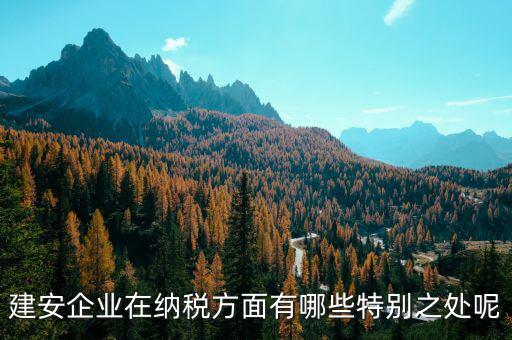 建安企業(yè)申報(bào)是什么，做消防工程開(kāi)具建安發(fā)票的公司申報(bào)是地稅還是國(guó)稅啊還是兩個(gè)都