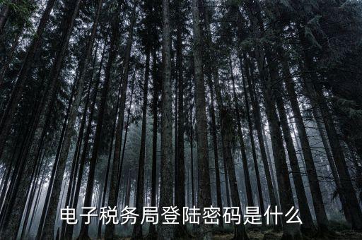 電子稅務(wù)里面的用戶名和密碼是什么，電子稅務(wù)局的初始密碼是多少