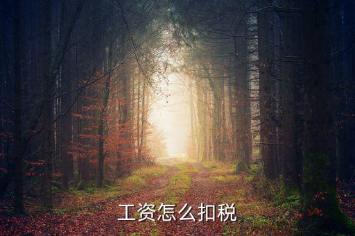員工工資中的稅是按什么扣的，工資怎么扣稅
