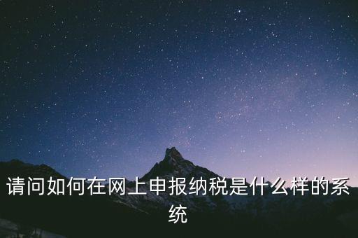 請問如何在網上申報納稅是什么樣的系統(tǒng)