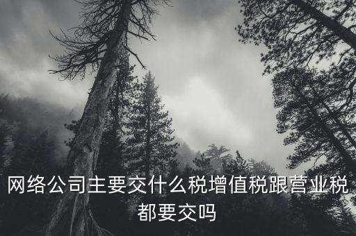 互聯(lián)網(wǎng)企業(yè)交什么稅，互聯(lián)網(wǎng)公司在稅收上有何政策
