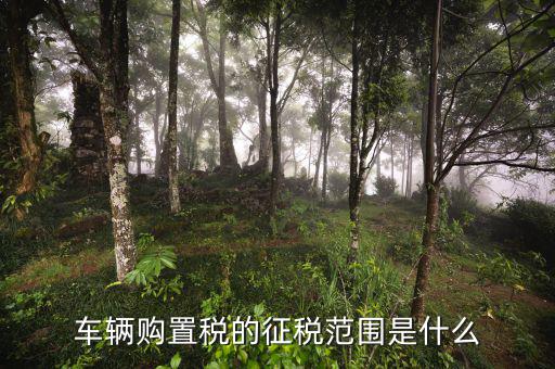 車輛購(gòu)置稅征收范圍由什么決定，車輛購(gòu)置稅的征稅范圍是什么