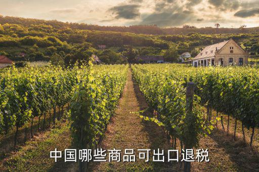 什么貨物出口可以退稅，中國哪些商品可出口退稅