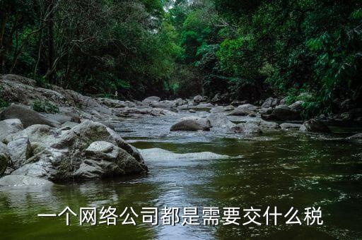 互聯(lián)網(wǎng)公司交什么稅，做互聯(lián)網(wǎng)服務(wù)行業(yè)要交多少稅