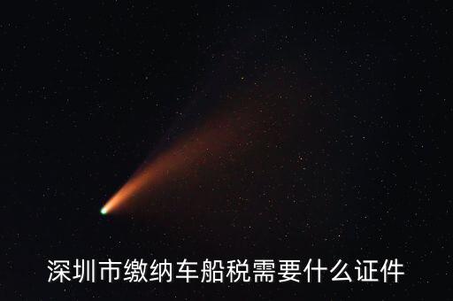 深圳交車船稅要帶什么資料，深圳市繳納車船稅需要什么證件