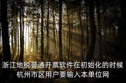 浙江網上稅務局的注冊碼是什么，浙江地稅因特網辦稅服務系統(tǒng)注冊碼過期
