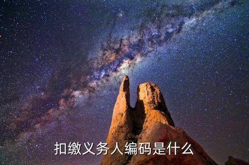 個稅系統(tǒng)扣繳義務人編碼是什么，扣繳義務人編碼是什么