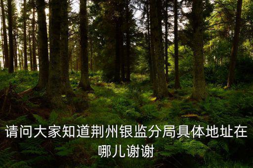 荊州稅務局在什么地方，請問大家知道荊州銀監(jiān)分局具體地址在哪兒謝謝