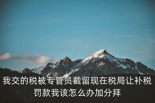 稅務人員截留稅款受什么處分，我交的稅被專管員截留現(xiàn)在稅局讓補稅罰款我該怎么辦加分拜