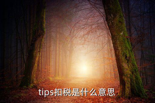 國稅tips系統(tǒng)指什么意思，電子對賬單上摘要一欄寫有tips是什么意思