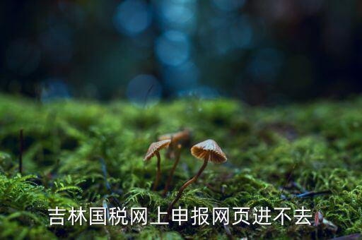 吉林省國(guó)稅上不去為什么，吉林省國(guó)家稅務(wù)局晚上申報(bào) 無(wú)法安全登陸