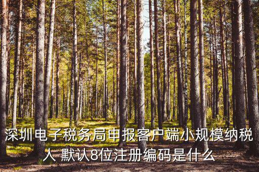 深圳納稅人編號是什么，什么是深圳市國稅百元開頭發(fā)票的納稅人識別號