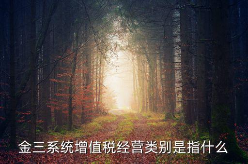 金三稅都包括什么，金稅三期是什么意思