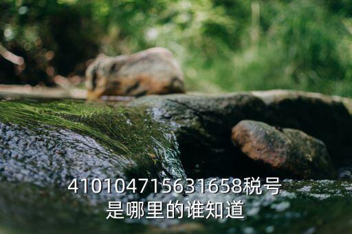 河南省的稅號(hào)是什么意思，410104715631658稅號(hào)是哪里的誰(shuí)知道