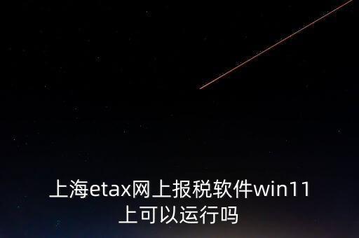 上海網(wǎng)上報(bào)稅什么軟件，上海etax網(wǎng)上報(bào)稅軟件win11上可以運(yùn)行嗎
