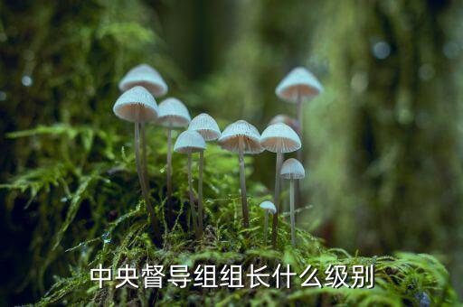 稅務(wù)督導(dǎo)組組長什么級(jí)別，縣委縣政府督察組組長行政級(jí)別具體工作是什么