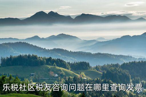 稅友服務(wù)器地址是什么，樂稅社區(qū)稅友咨詢問題在哪里查詢發(fā)票