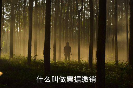 什么是繳銷發(fā)票，繳銷發(fā)票是什么意思啊是第個月作廢的發(fā)票都必須當(dāng)月繳銷嗎還是怎