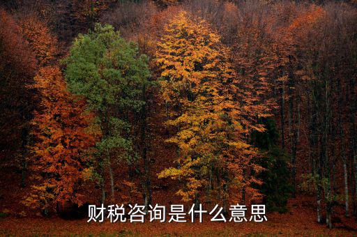 深圳稅務(wù)納稅咨詢平臺是什么意思，財稅咨詢是什么意思