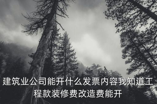 建筑業(yè)開(kāi)票開(kāi)什么內(nèi)容，建筑行業(yè)需要開(kāi)些什么票