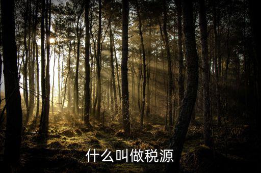 稅源標(biāo)志是什么，什么叫做稅源