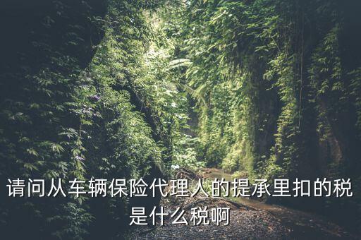 請(qǐng)問(wèn)從車輛保險(xiǎn)代理人的提承里扣的稅是什么稅啊