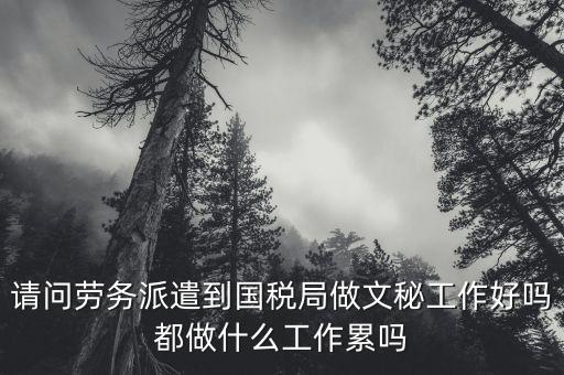 請(qǐng)問勞務(wù)派遣到國(guó)稅局做文秘工作好嗎都做什么工作累嗎