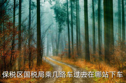深圳市保稅區(qū)地稅局做什么車，深大北門到深圳市保稅區(qū)地稅局怎么走