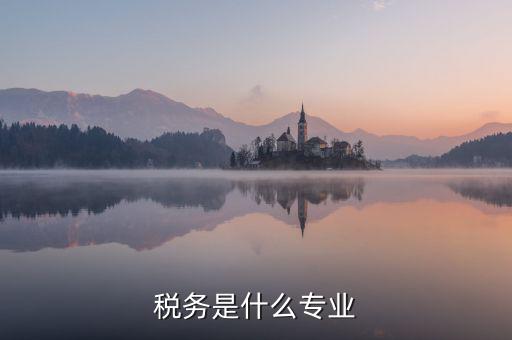 中文專業(yè)和稅務(wù)專業(yè)沒什么關(guān)系啊，稅務(wù)專業(yè)有哪些相近專業(yè)