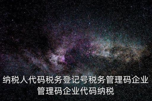 納稅人管理代碼是什么，納稅人代碼稅務登記號稅務管理碼企業(yè)管理碼企業(yè)代碼納稅