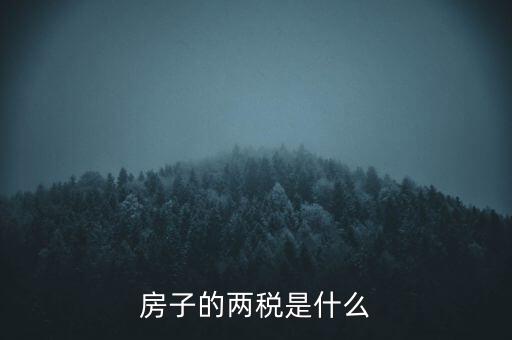 兩稅清查是指什么，房子的兩稅是什么