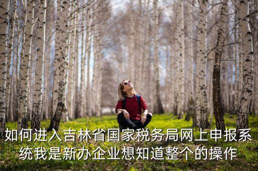 如何進(jìn)入吉林省國家稅務(wù)局網(wǎng)上申報(bào)系統(tǒng)我是新辦企業(yè)想知道整個的操作