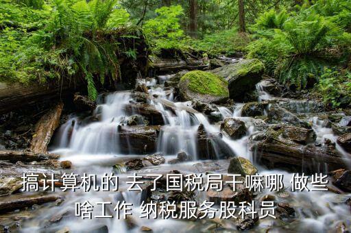 自動化進國稅局做什么，國稅是做什么工作的