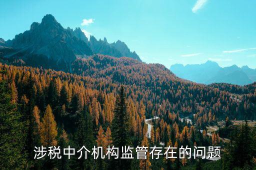 社會(huì)組織涉稅方面有什么問(wèn)題，涉稅中介機(jī)構(gòu)監(jiān)管存在的問(wèn)題