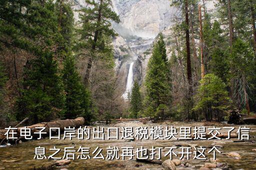 為什么退稅平臺(tái)進(jìn)不去，在電子口岸的出口退稅模塊里提交了信息之后怎么就再也打不開這個(gè)