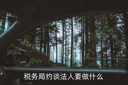 稅務(wù)異常約談法定代表干什么，稅務(wù)局約談法人要做什么