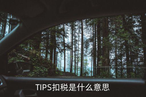 稅務(wù)tips是什么意思，tips扣稅是什么意思
