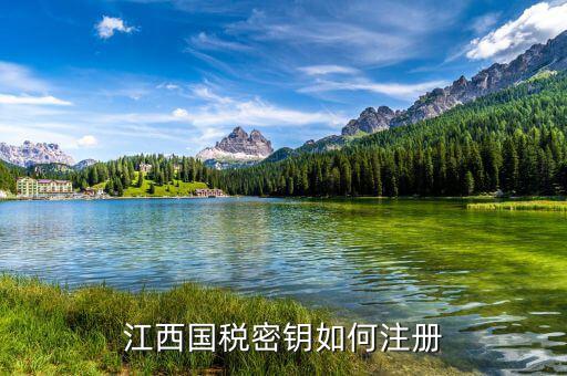 江西國(guó)稅密鑰是什么意思，為啥江西國(guó)稅的CA密鑰總是裝不成功