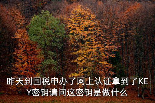 昨天到國稅申辦了網(wǎng)上認證拿到了KEY密鑰請問這密鑰是做什么