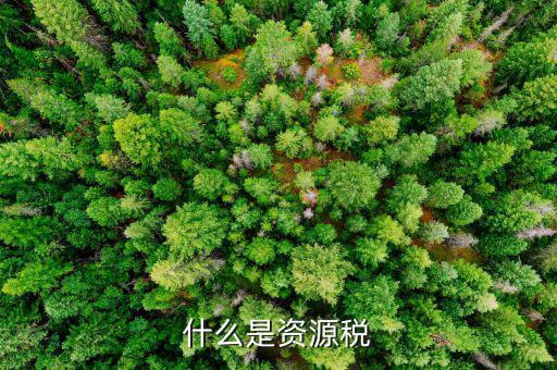 什么叫作資源稅，什么叫做土地資源稅