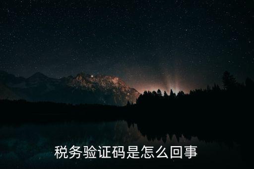網(wǎng)上稅務局下載碼是什么意思，湖北省電子稅務局下載uk驅(qū)動二維碼是什么意思