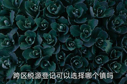 跨區(qū)稅源登記是什么，跨區(qū)稅源登記能否登記為一般納稅人